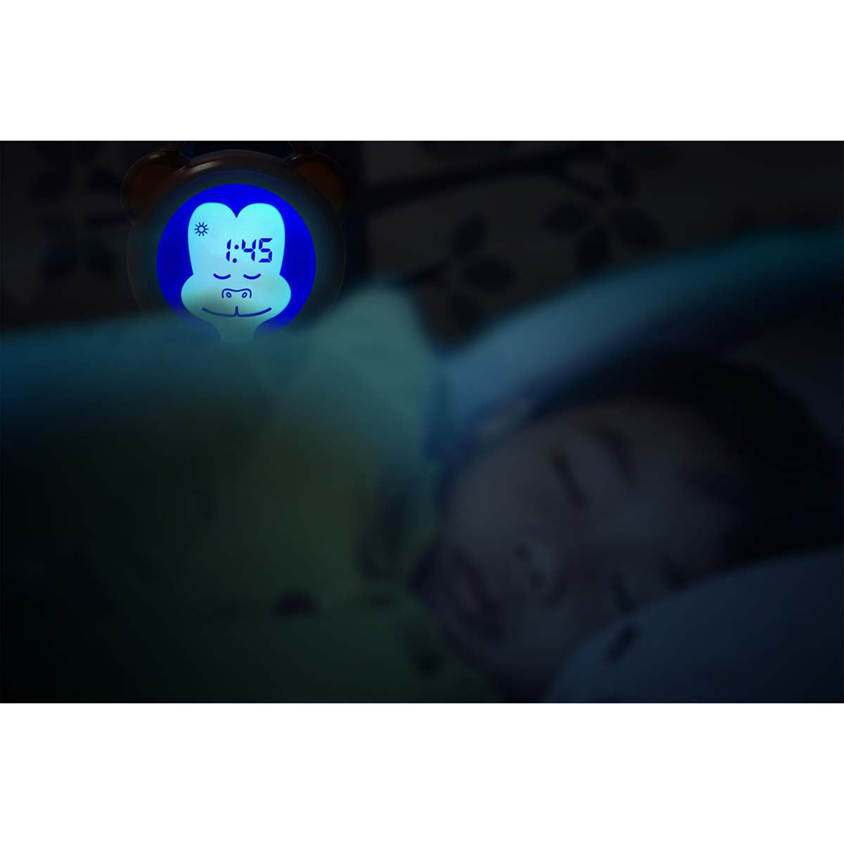 1443837|BC-100 MONKEY