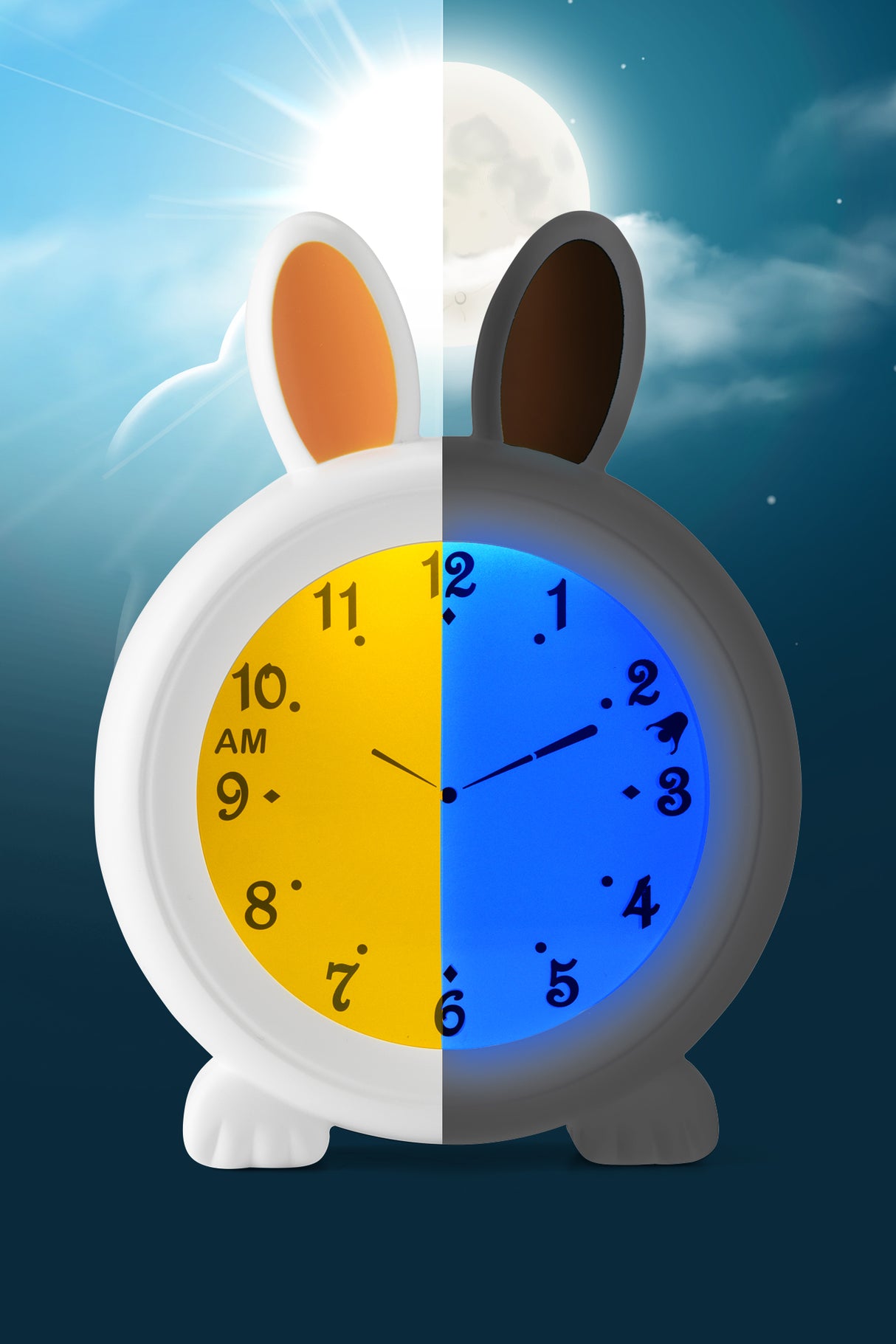 1461127|BC100BUNNY