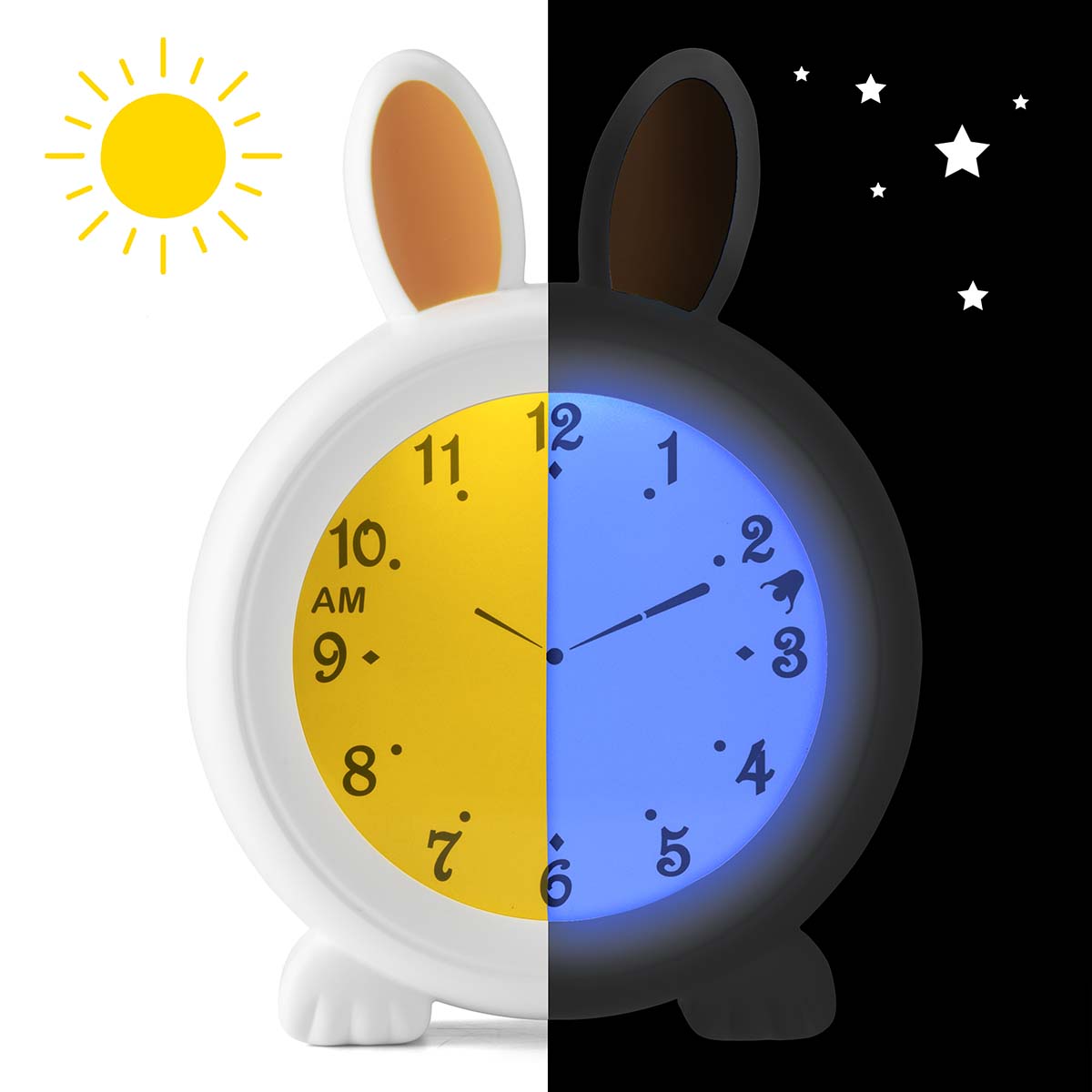 1443860|BC100BUNNY