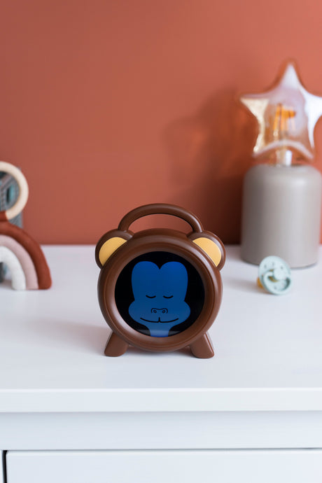 1458447|BC-100 MONKEY