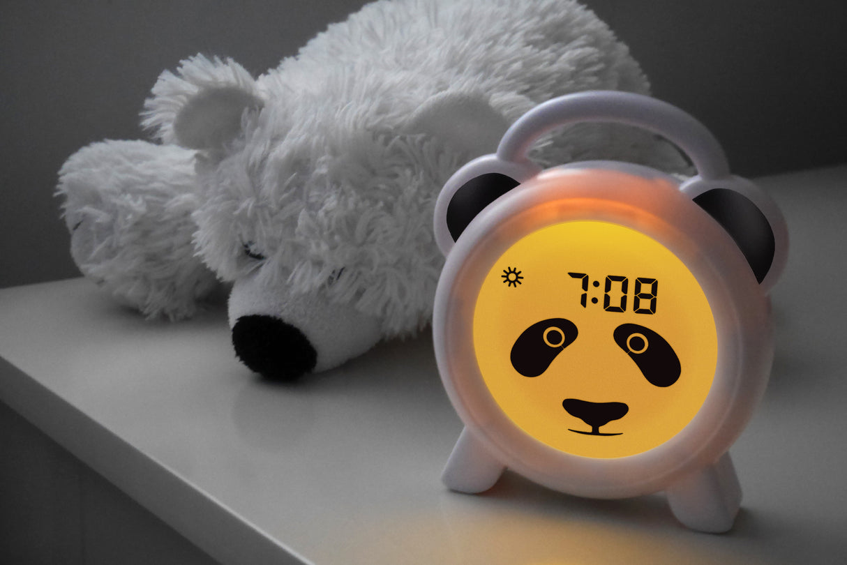 1460590|BC100PANDA