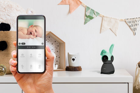 1462016|SMARTBABY10BK